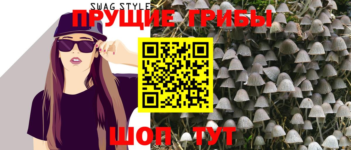 магазин продажи   Псилоцибиновые грибы Psilocybine cubensis  Вход с VPN  Пыть-Ях 